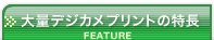 大量デジカメプリントの特長