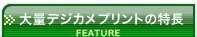 大量デジカメプリントの特長（コチラのページです）