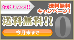 今がチャンス：送料無料！！送料無料キャンペーン！（今月末まで）