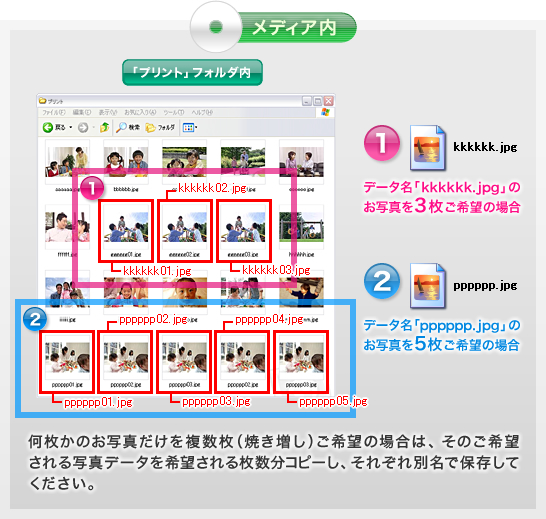 メディア内図解：【「プリント」フォルダ内】何枚かのお写真だけを複数枚（焼き増し）ご希望の場合は、そのご希望される写真データを希望される枚数分コピーし、それぞれ別名で保存してください。
